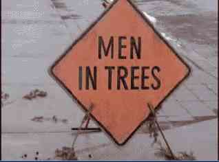 Men in Trees