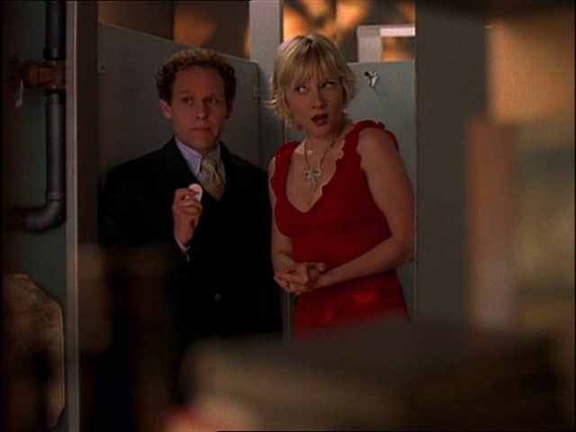 Peter MacNicol, Anne Heche