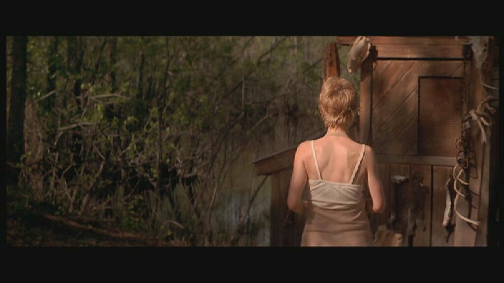 Anne Heche