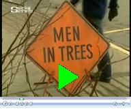 Vido de Men in Trees